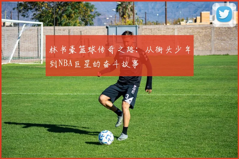 林书豪篮球传奇之路：从街头少年到NBA巨星的奋斗故事